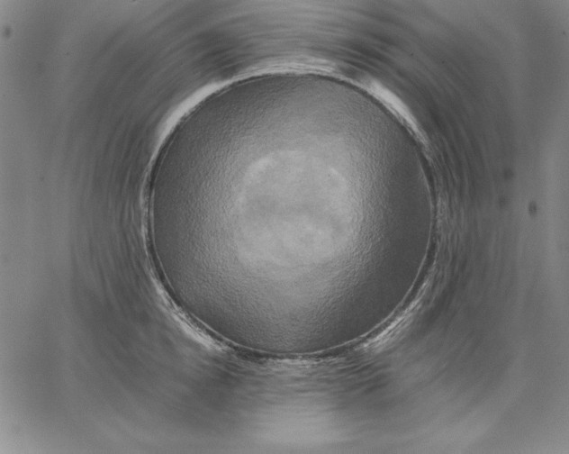 X0000066520854200604071550