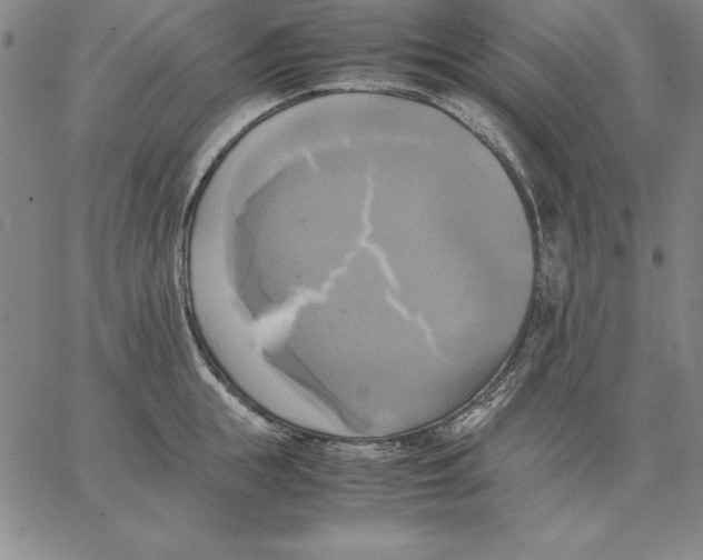 X0000066520855200604071550