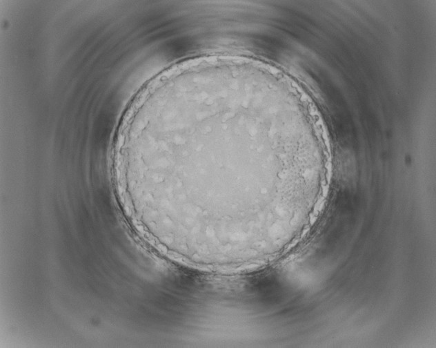 X0000066520856200604071550