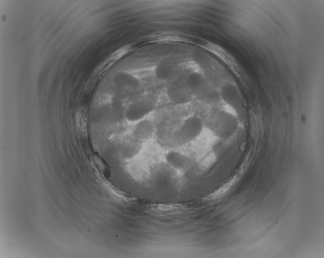 X0000066520857200604071550