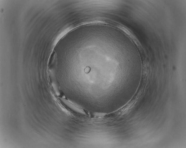 X0000066520858200604071550