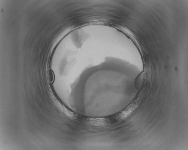 X0000066520859200604071550