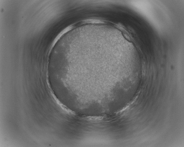 X0000066520861200604071550