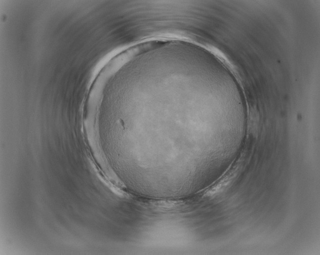 X0000066520862200604071550