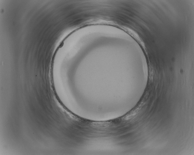 X0000066520863200604071550