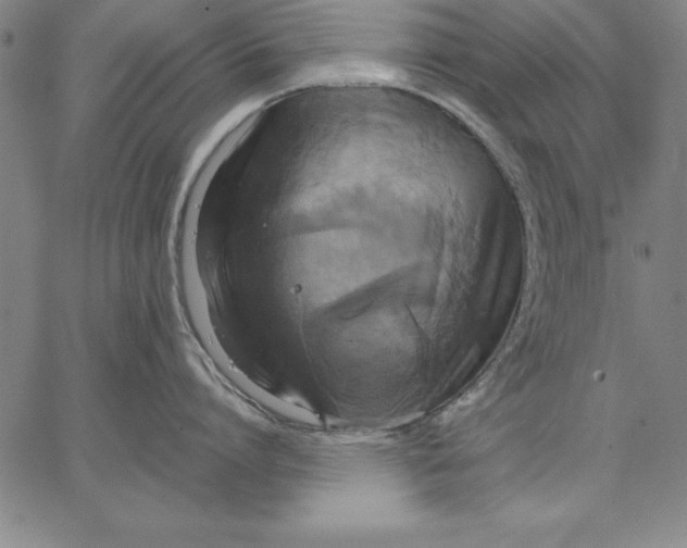 X0000066520864200604071550