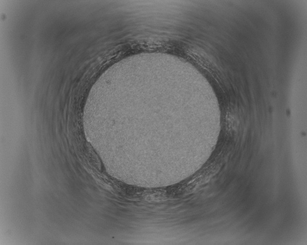 X0000066520865200604071549