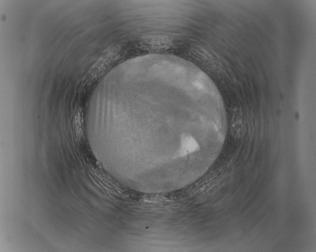 X0000066520866200604071549