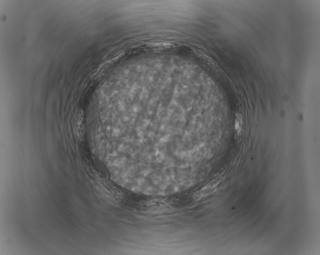 X0000066520867200604071549