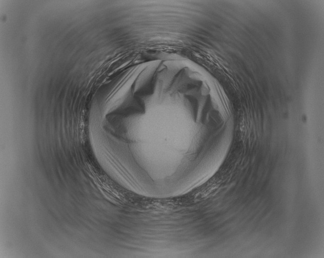 X0000066520868200604071549