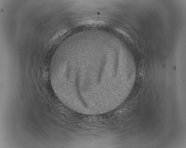 X0000066520869200604071549