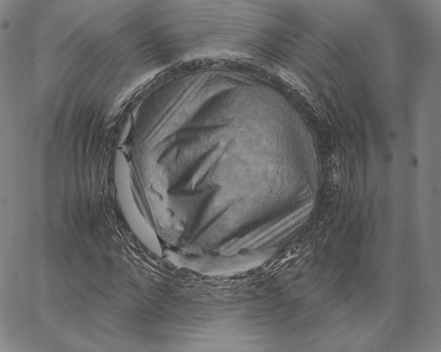 X0000066520872200604071549