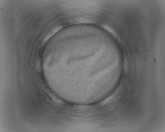 X0000066520873200604071549