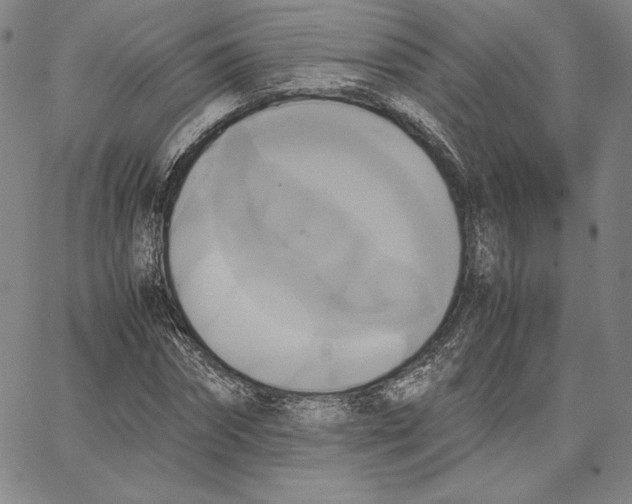 X0000066520874200604071549