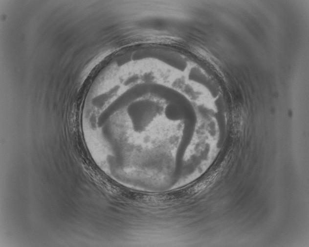 X0000066520875200604071549