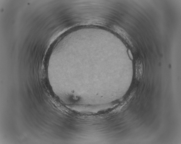 X0000066520876200604071549