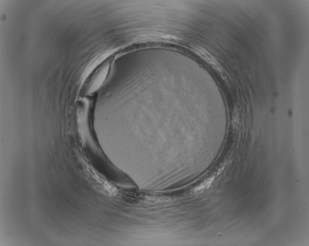 X0000066520877200604071549