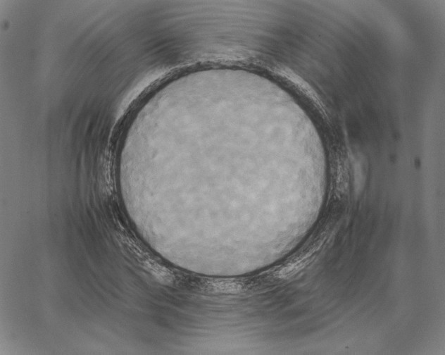 X0000066520878200604071549