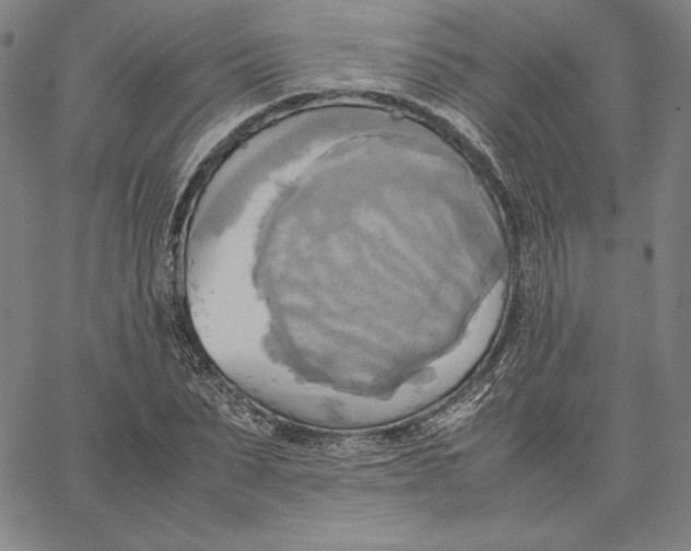 X0000066520879200604071549