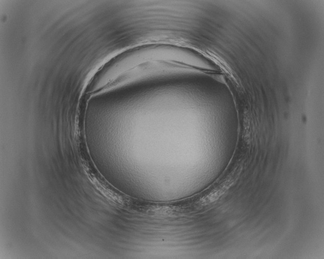 X0000066520880200604071549