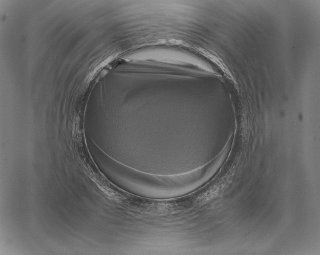 X0000066520881200604071549