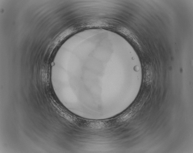 X0000066520882200604071549