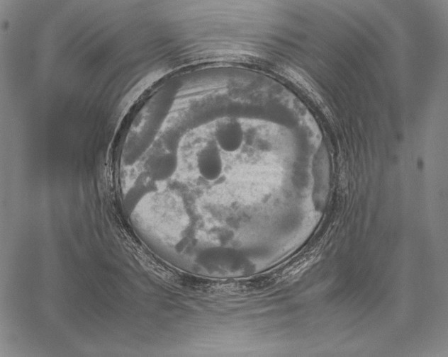 X0000066520883200604071549