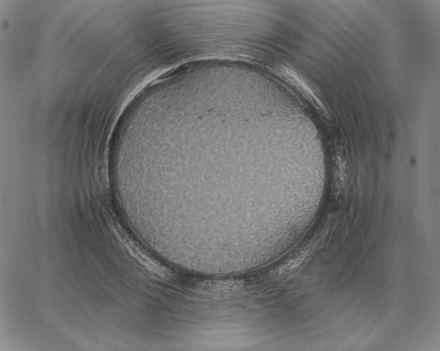 X0000066520884200604071549