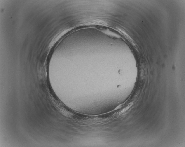 X0000066520885200604071549