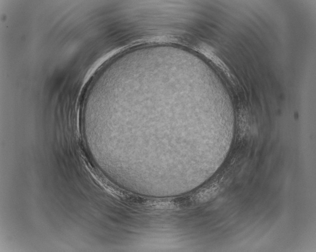 X0000066520886200604071549