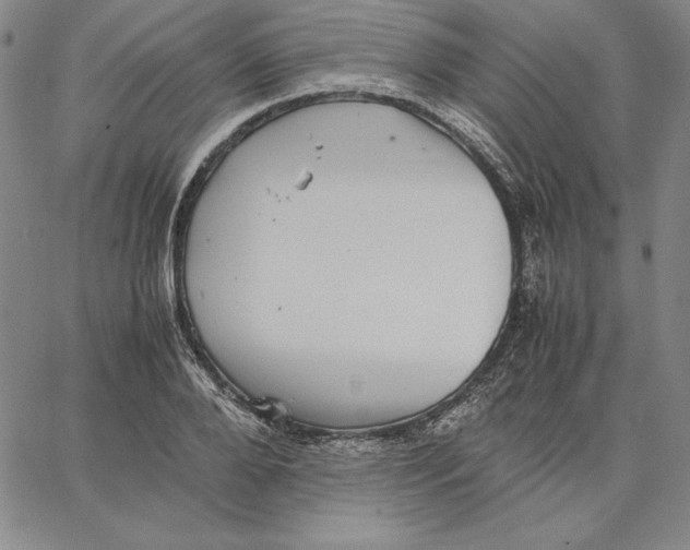 X0000066520888200604071549