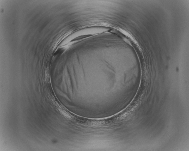 X0000066520889200604071549