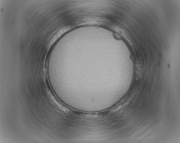 X0000066520890200604071549