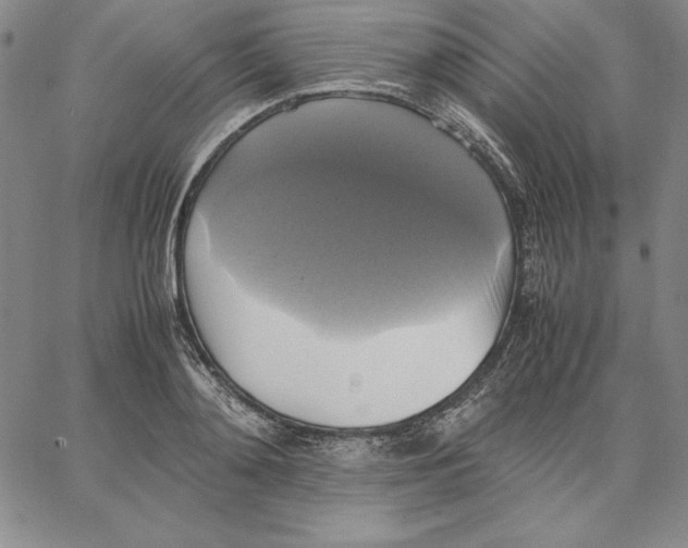 X0000066520892200604071549