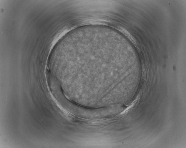 X0000066520893200604071549