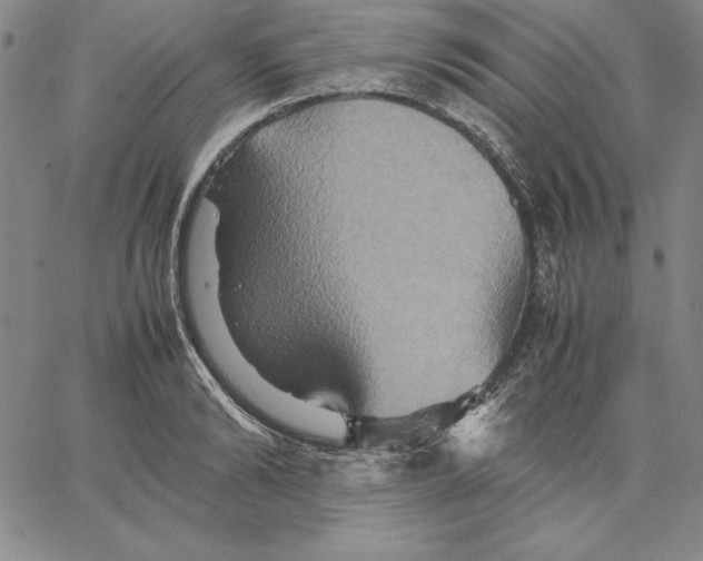 X0000066520894200604071549