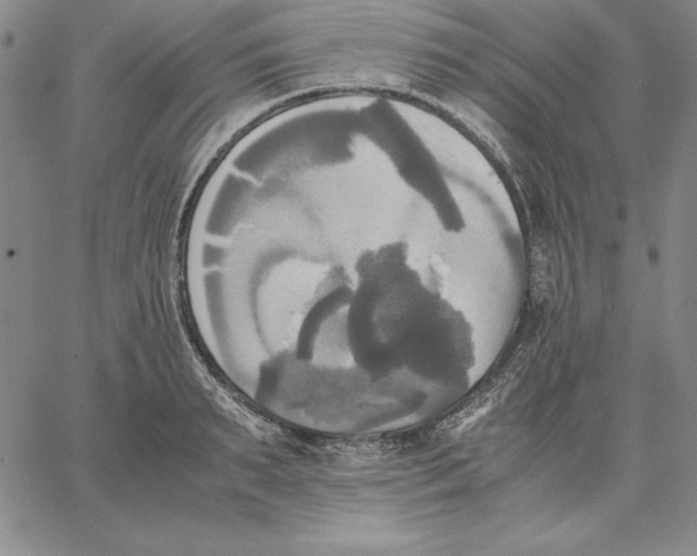 X0000066520895200604071549