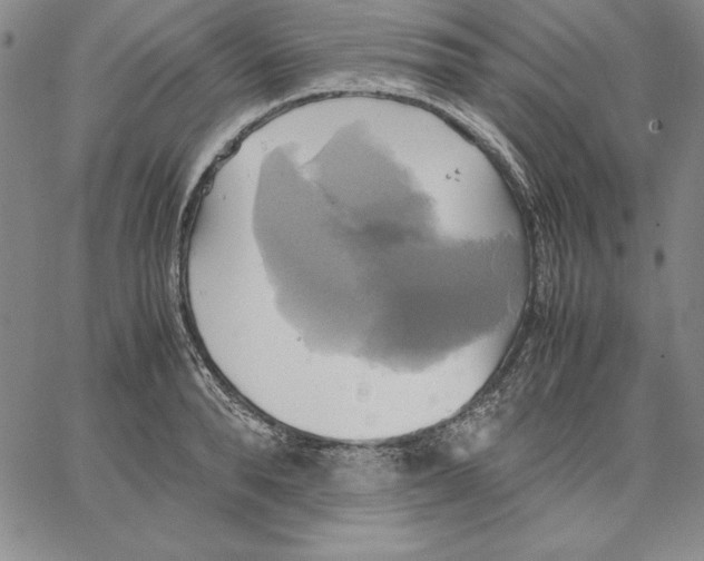 X0000066520896200604071549