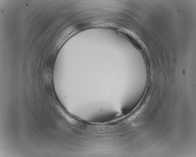 X0000066520897200604071549