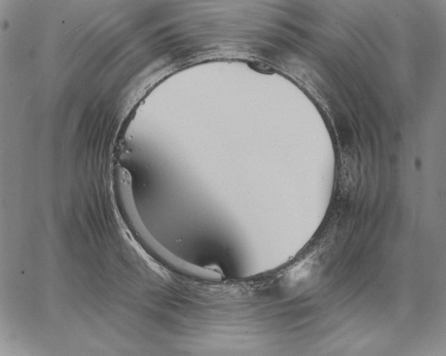 X0000066520898200604071549