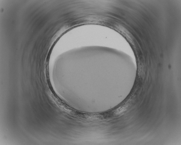 X0000066520899200604071549