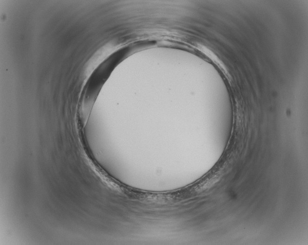 X0000066520901200604071549