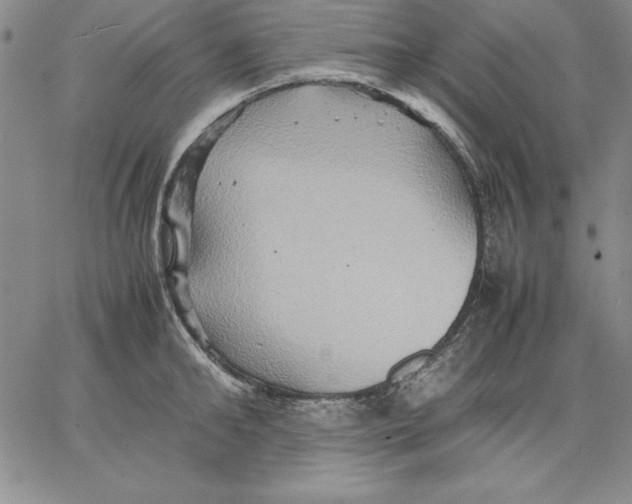 X0000066520902200604071549