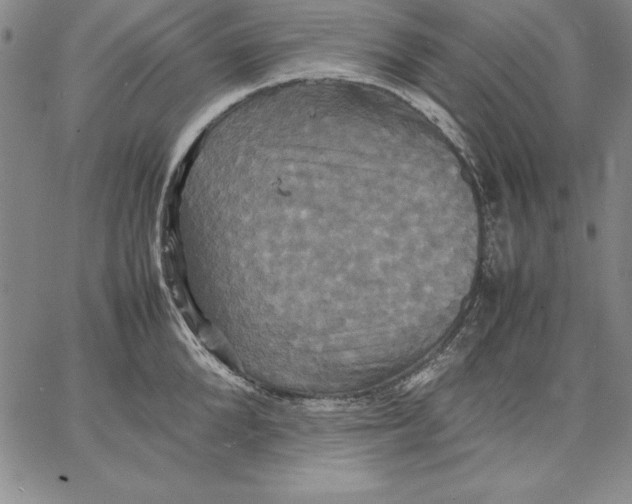 X0000066520904200604071549