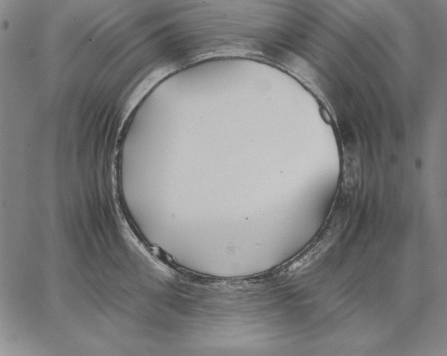 X0000066520906200604071549