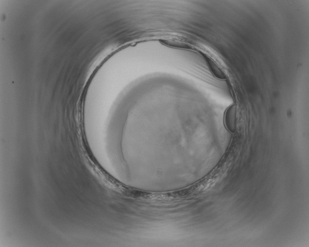 X0000066520907200604071549