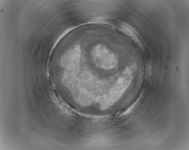 X0000066520908200604071549