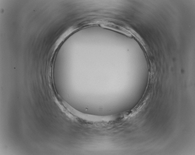 X0000066520909200604071549