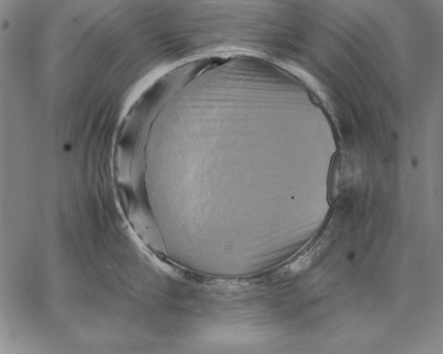 X0000066520910200604071549