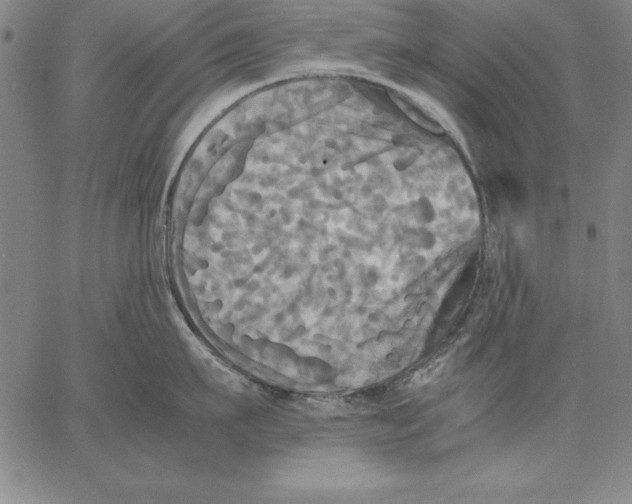 X0000066520911200604071549